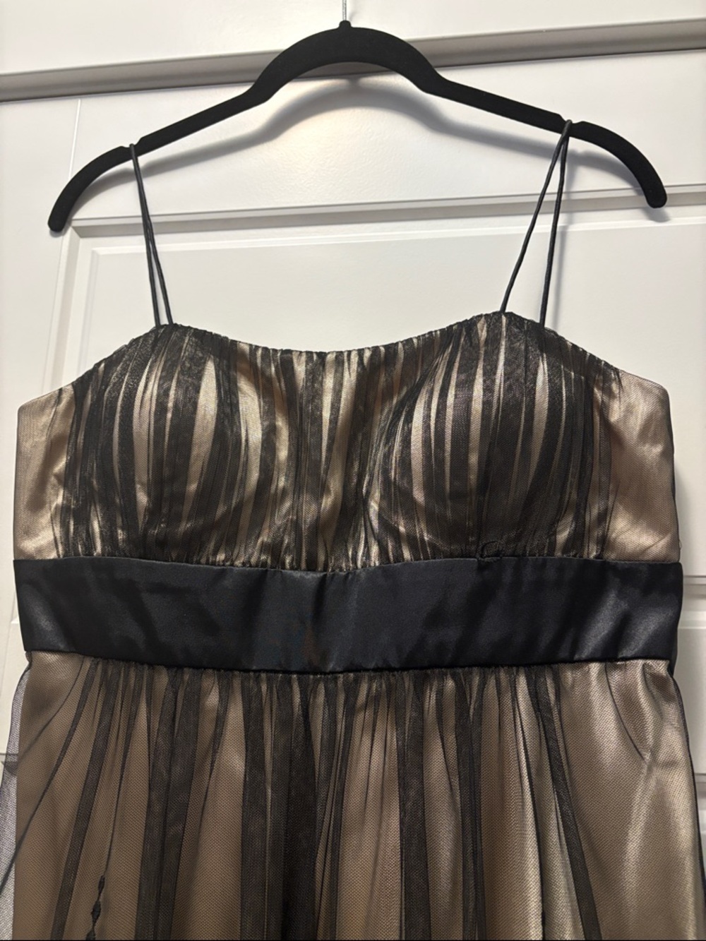 ✨ Dressbarn Collection Elegant Embroidered Mesh Dress Size 8 ✨ - Picture 5 of 9